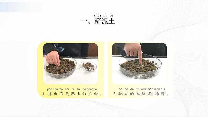 苏教版（2017）科学一年级下册：2.玩泥巴 授课课件05