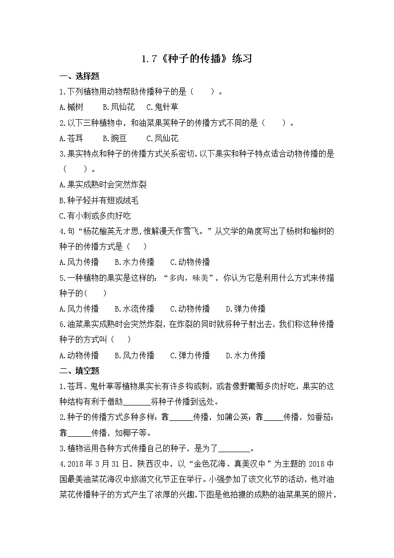 教科版(2017)科学四年级下册1.7《种子的传播》PPT课件+教案+同步练习01