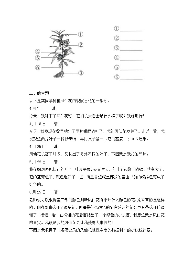 教科版(2017)科学四年级下册1.8《凤仙花的一生》PPT课件+教案+同步练习02