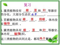 人教版 (新课标)三年级下册1 植物的种子教学课件ppt