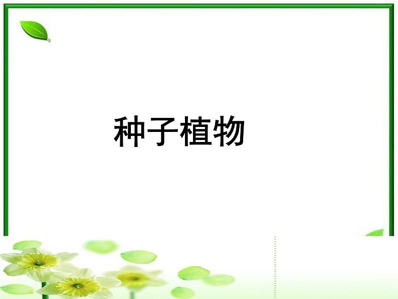 人教小学科学2.1植物的种子课件PPT第2页