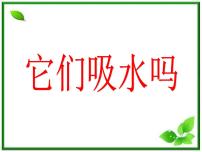 科学三年级上册4、它们吸水吗教学ppt课件