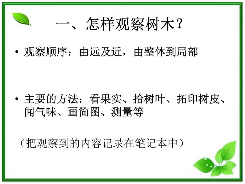 教科小学科学三上《1.2、校园的树木》PPT课件(8)第8页