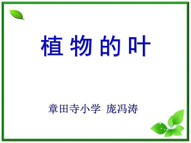 教科小学科学三上《1.5、植物的叶》PPT课件(5)第1页