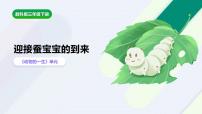 科学三年级下册1.迎接蚕宝宝的到来获奖课件ppt
