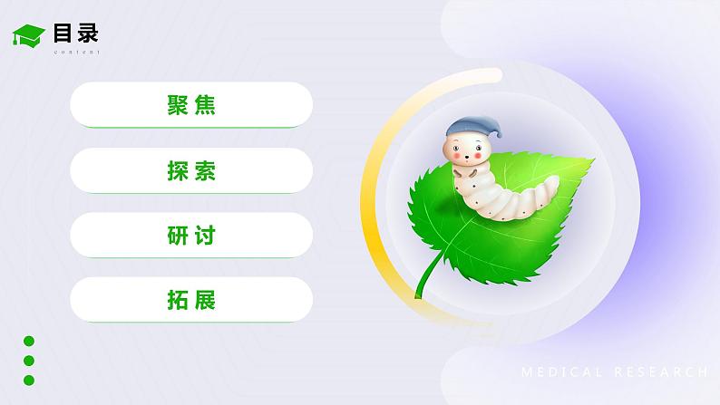 教科版(2017)科学三年级下册2.1《迎接蚕宝宝的到来》课件PPT+教案+练习05