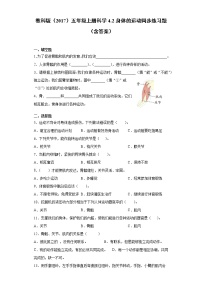 科学2.身体的运动课时训练