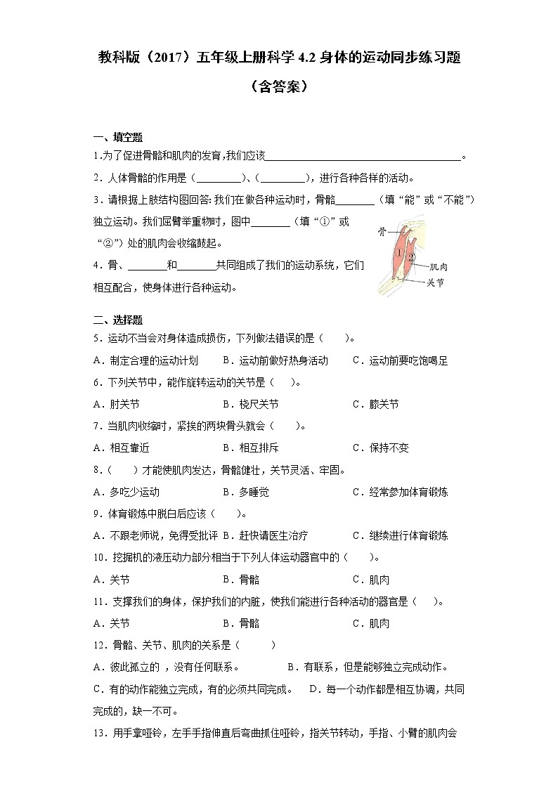 教科版五年级上册科学4.2身体的运动同步练习题（含答案）01