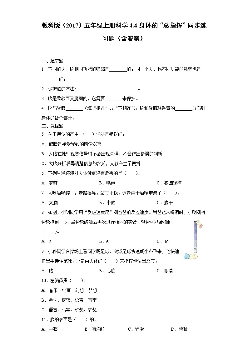 教科版五年级上册科学4.4身体的“总指挥”同步练习题（含答案）01