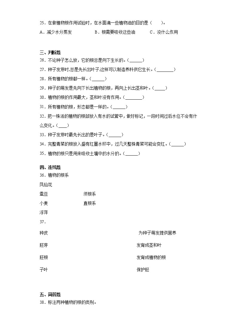教科版四年级下册科学1.3种子长出了根课课练习题（含答案）03