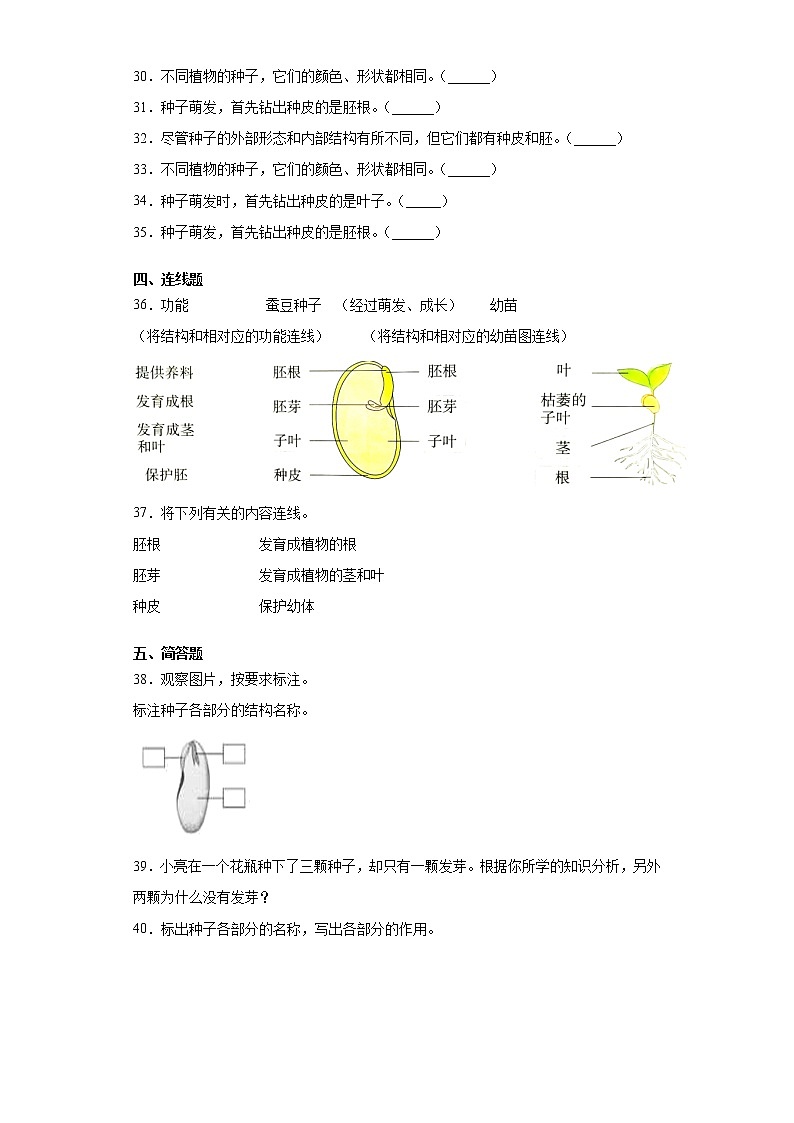 教科版四年级下册科学1.1种子里孕育着新生命课课练习题（含答案）03