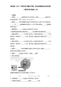 小学科学教科版 (2017)四年级下册4.茎和叶课时作业