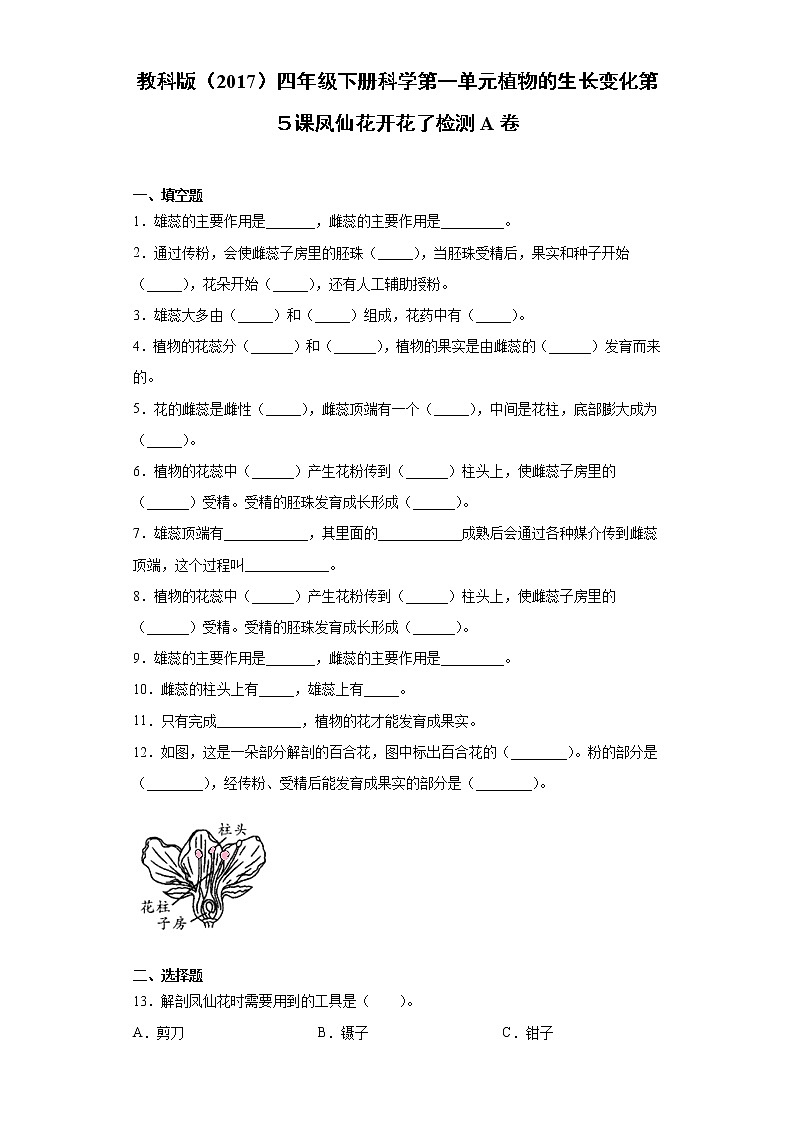 教科版四年级下册科学1.5凤仙花开花了课课练习题（含答案）01