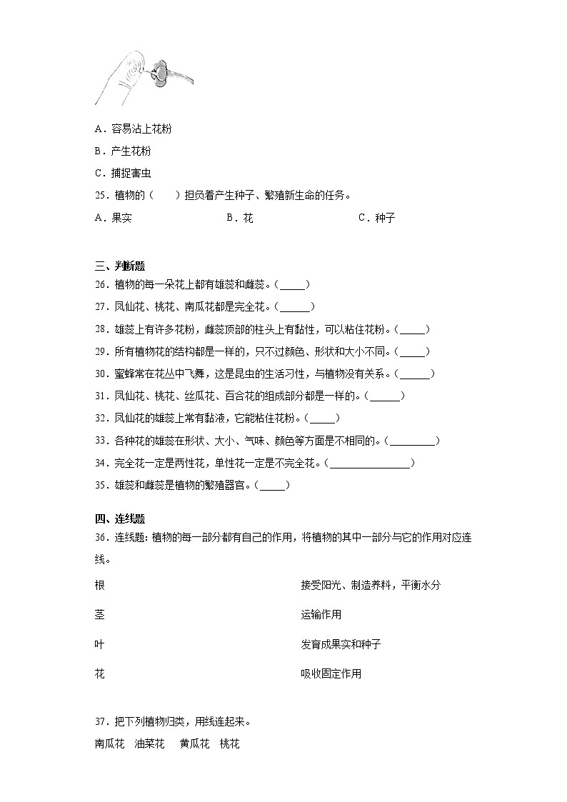 教科版四年级下册科学1.5凤仙花开花了课课练习题（含答案）03