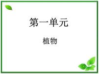 小学科学教科版三年级上册1、我看到了什么课文配套课件ppt