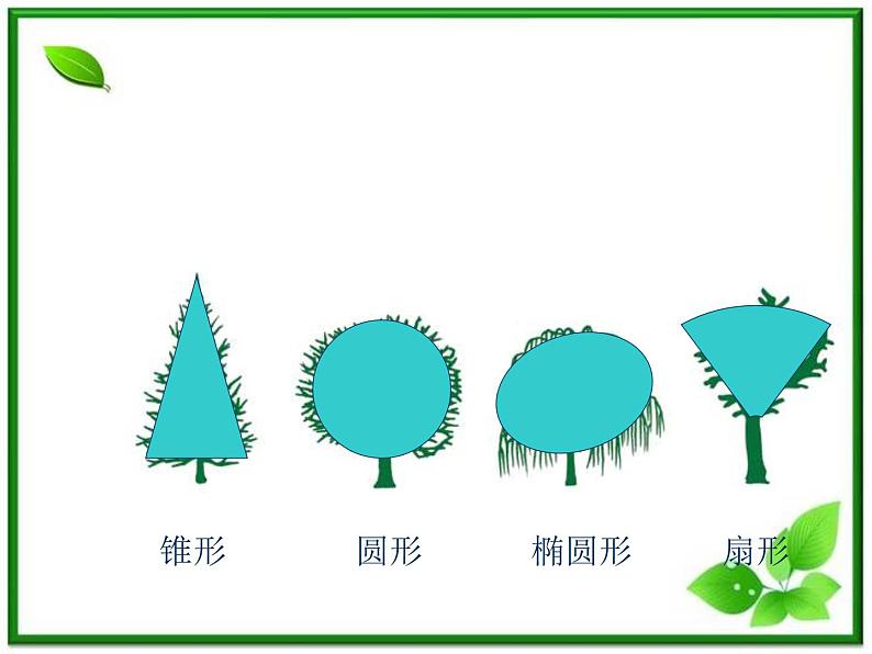 教科小学科学三上《1.2、校园的树木》PPT课件(5)04