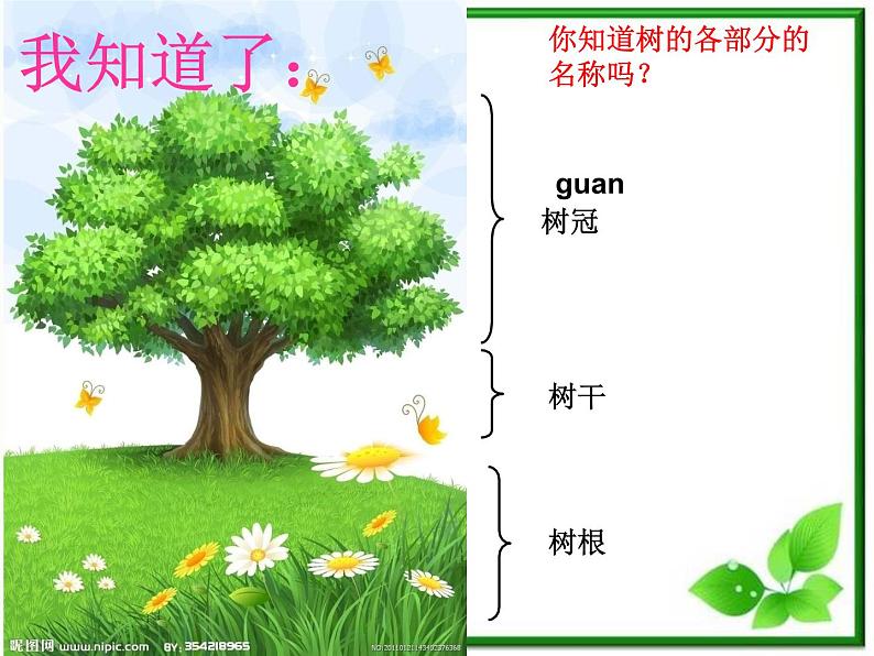 教科小学科学三上《1.2、校园的树木》PPT课件(5)05