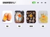 教科版(2017)科学三年级下册2.2《认识其他动物的卵》课件PPT+教案+练习