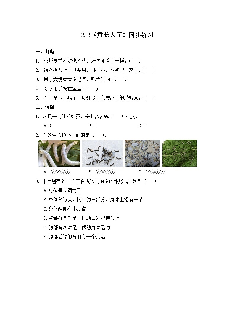 2.3《蚕长大了》同步练习第1页