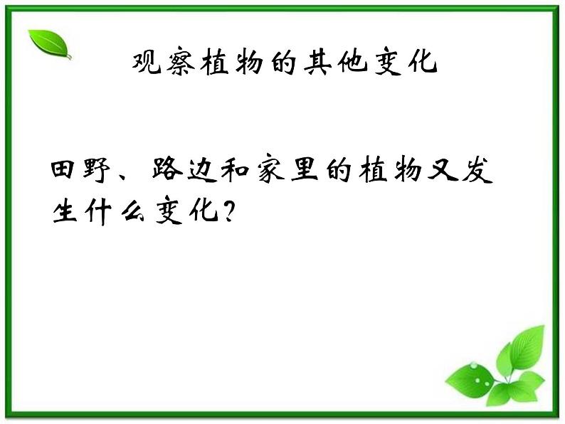 教科小学科学三上《1.6、植物发生了什么变化》PPT课件(6)05