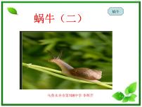 小学科学教科版三年级上册3、蜗牛（二）教课内容课件ppt