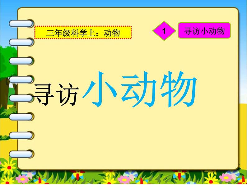 教科小学科学三上《2.1、寻访小动物》PPT课件(11)01