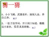 教科小学科学三上《2.1、寻访小动物》PPT课件(11)