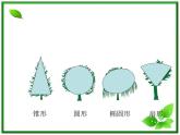 教科小学科学三上《1.2、校园的树木》PPT课件(3)