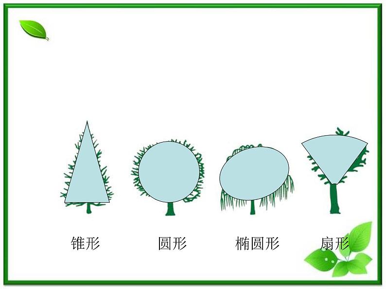 教科小学科学三上《1.2、校园的树木》PPT课件(3)第4页