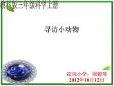 教科小学科学三上《2.1、寻访小动物》PPT课件(10)