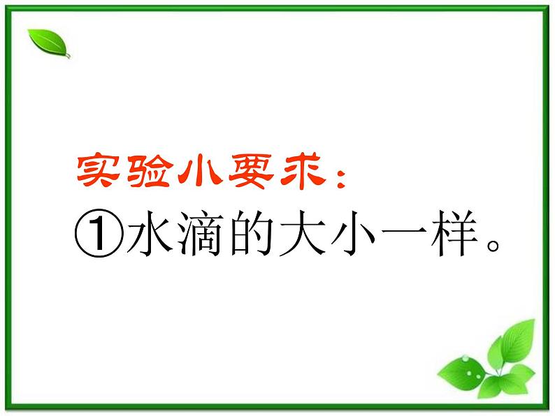 教科小学科学三上《3.4、它们吸水吗》PPT课件(3)02