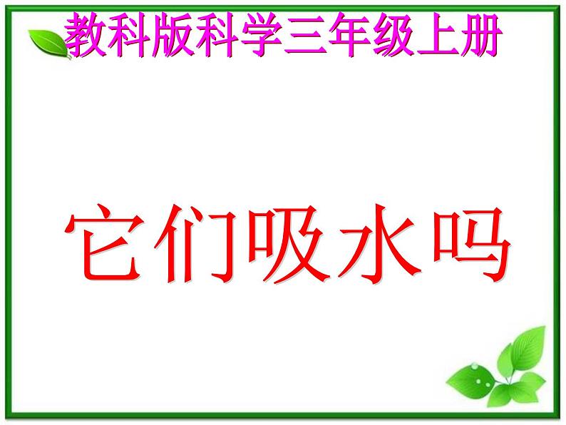 教科小学科学三上《3.4、它们吸水吗》PPT课件(4)第1页