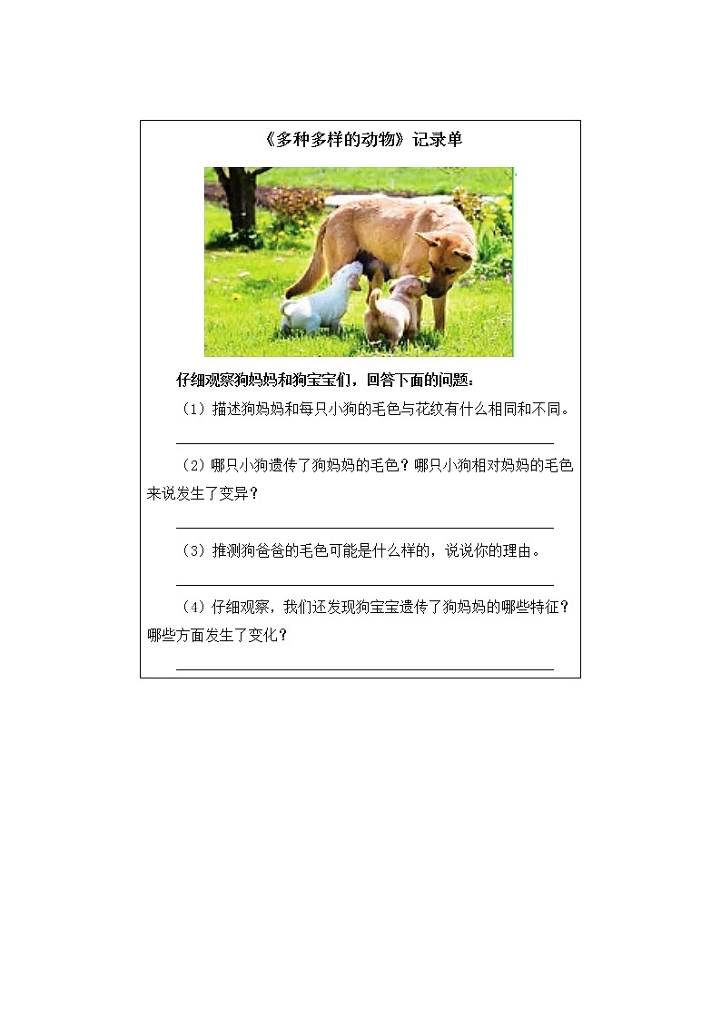 2.4《多种多样的动物》课件+教案+记录单01
