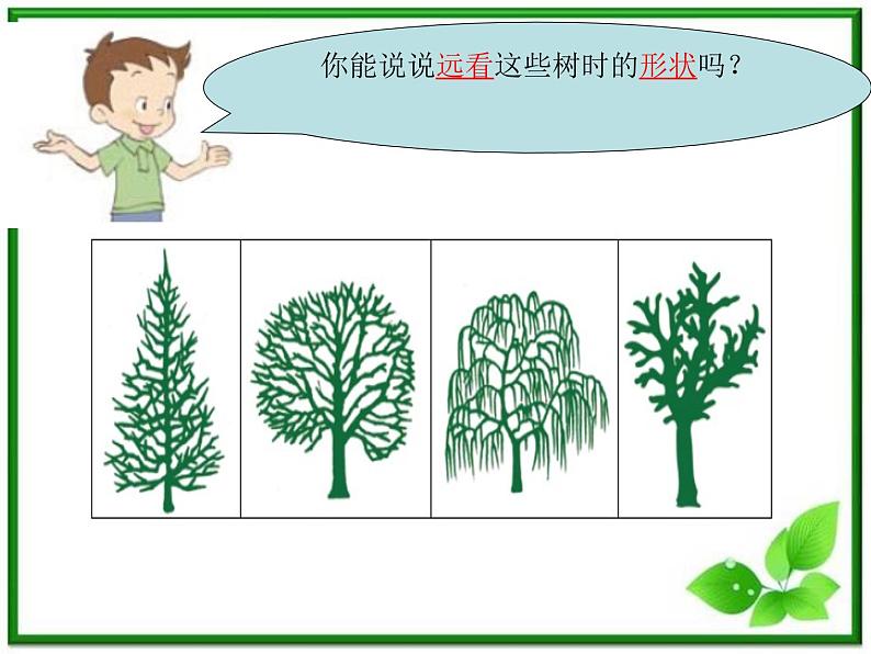 教科小学科学三上《1.2、校园的树木》PPT课件(12)第4页