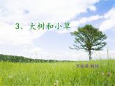 教科小学科学三上《1.3、大树和小草》PPT课件(3)