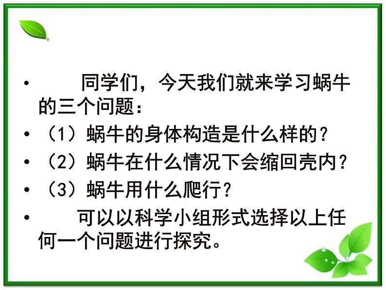 教科小学科学三上《2.3、蜗牛（二）》PPT课件(12)02