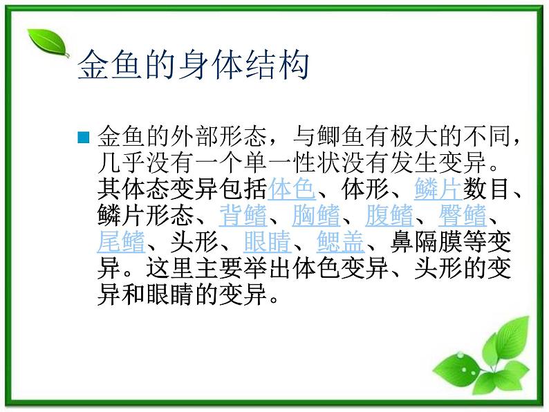 教科小学科学三上《2.6、金鱼》PPT课件(1)第4页