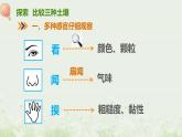 教科版(2017)科學(xué)四年級(jí)下冊(cè)3.7《比較不同的土壤》PPT課件+教案+同步練習(xí)