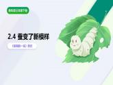 教科版(2017)科學(xué)三年級下冊2.4《蠶變了新模樣》課件PPT+教案+練習(xí)