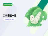 教科版(2017)科学三年级下册2.6《蚕的一生》课件PPT+教案+练习