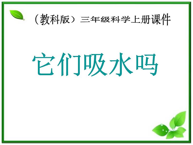 教科小学科学三上《3.4、它们吸水吗》PPT课件(6)第1页
