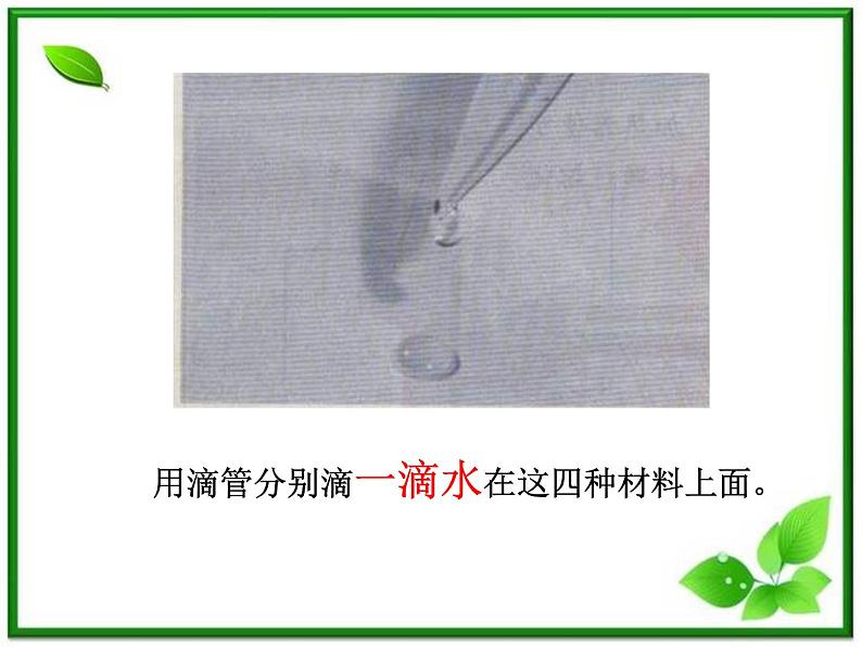 教科小学科学三上《3.4、它们吸水吗》PPT课件(6)第5页