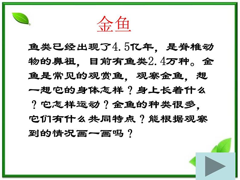 教科小学科学三上《2.6、金鱼》PPT课件(7)第1页