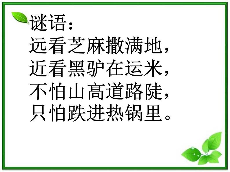 教科小学科学三上《2.5、蚂蚁》PPT课件(3)05