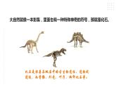 苏教版六年级上册科学3.9《化石告诉我们什么》课件