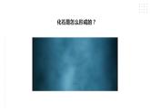 苏教版六年级上册科学3.9《化石告诉我们什么》课件