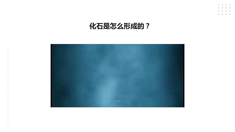 苏教版六年级上册科学3.9《化石告诉我们什么》课件05