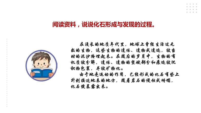 苏教版六年级上册科学3.9《化石告诉我们什么》课件06