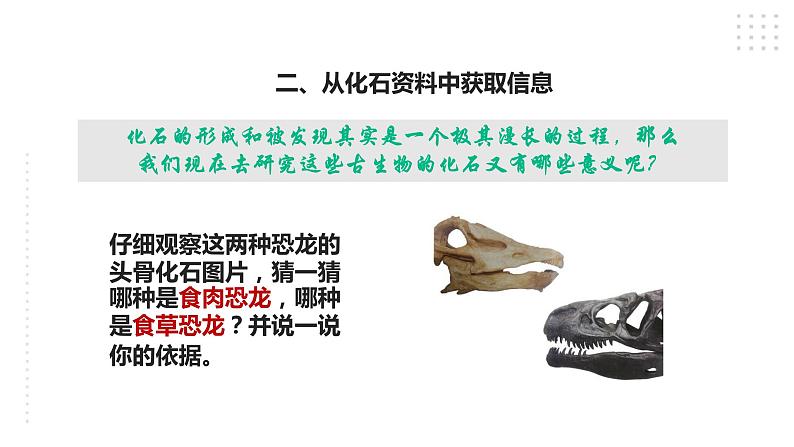 苏教版六年级上册科学3.9《化石告诉我们什么》课件08