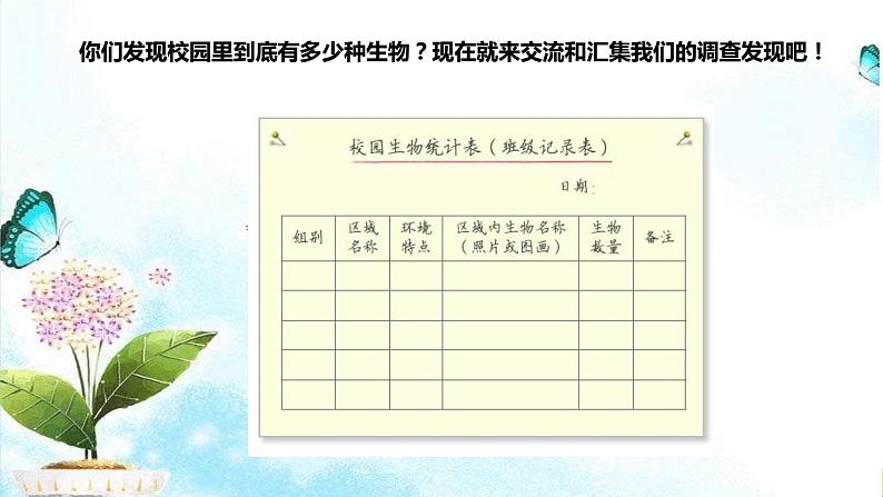 新教科版六年级下册科学2.2.《制作校园生物分布图》（课件+素材）03